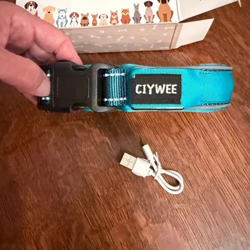 Ciywee led light up air tag dog collar in Teal size medium USB Rechargeable